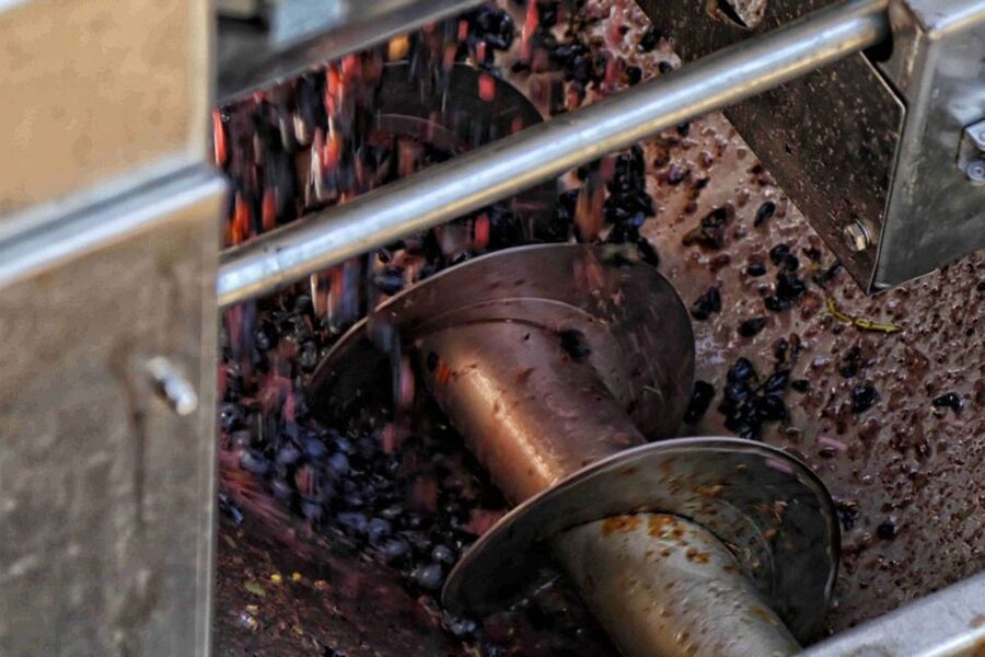 From Sorrento: Winery Tour, Tasting & Lunch - Starting in Sorrento and taking the train to Pompeii