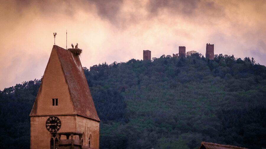 From Strasbourg: Colmar & Alsace Wine Route Private Day Trip - How to make the eight hours work better