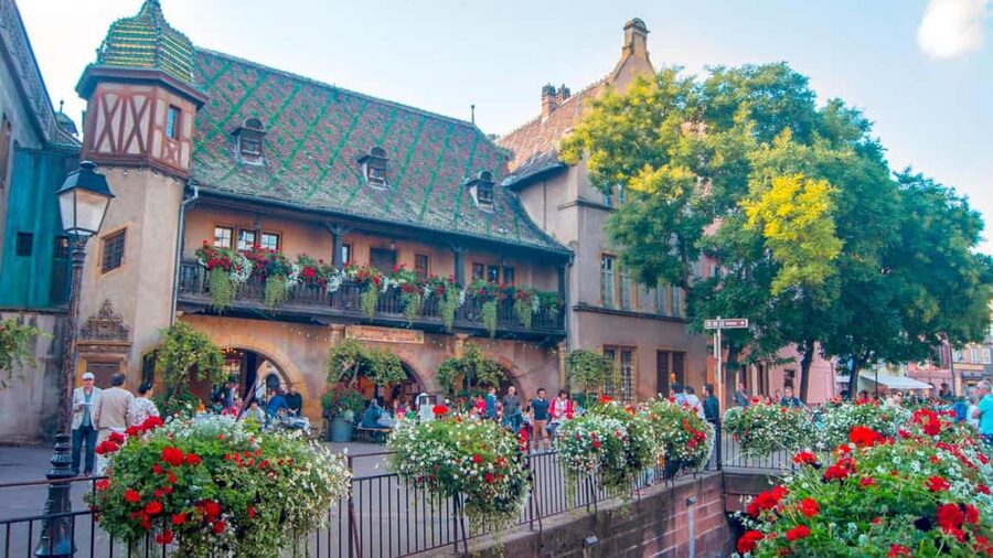 From Strasbourg: Colmar & Alsace Wine Route Private Day Trip - Colmar: three hours for canals, lunch, and old-town streets