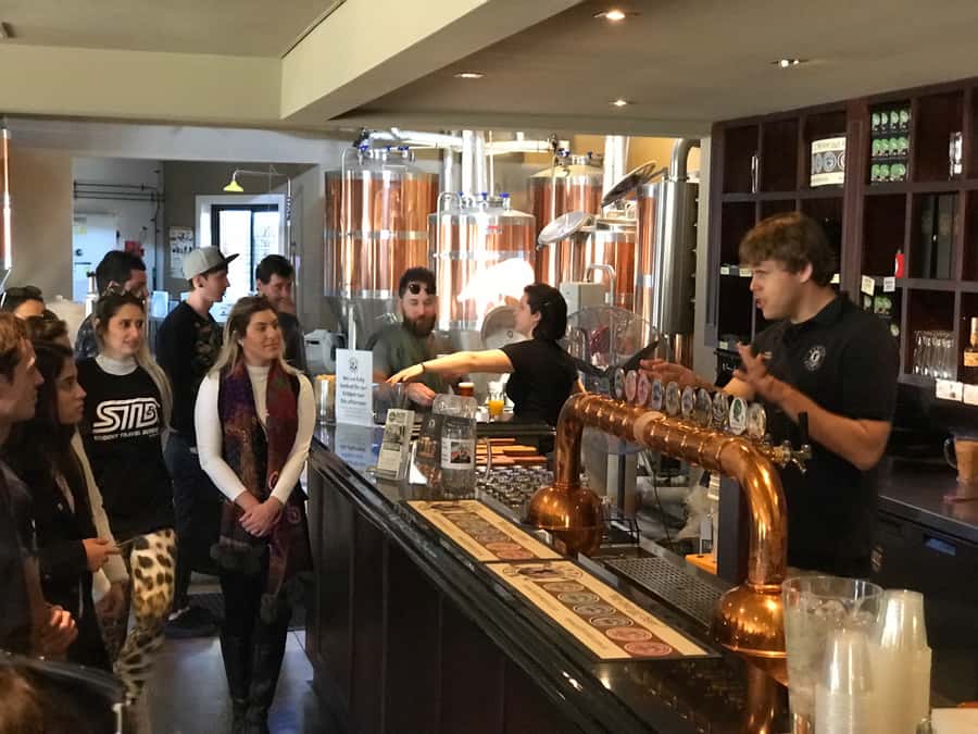 From Sydney: Hunter Valley Wine Tasting & Winery Picnic Tour - Who should book this Hunter Valley tour?