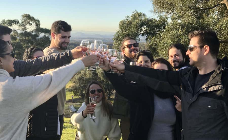 From Sydney: Hunter Valley Wine Tasting & Winery Picnic Tour - Sobels Winery and the first taste of Hunter Valley