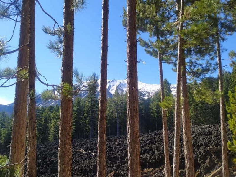 From Taormina: Etna Walking Tour and Wine Tasting in Winery - Your free time at the Etna resort