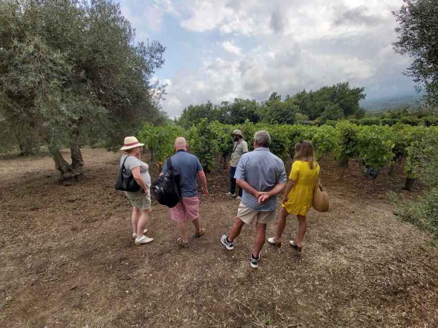 From Taormina: Etna Wineries Small Group Tour - Who should book this Etna wine tour?
