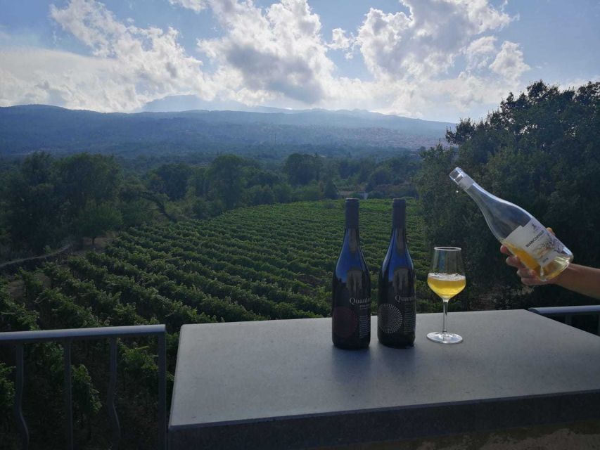 From Taormina: Etna Wineries Small Group Tour - The morning ride from Taormina or Naxos