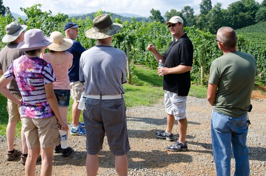 From Taormina: Private 3 Etna Wineries with Food & Wine - Key points at a glance