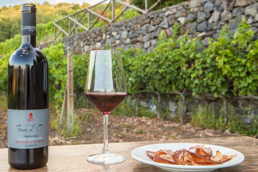 From Taormina: Private 3 Etna Wineries with Food & Wine - Why Etna wine tastes different