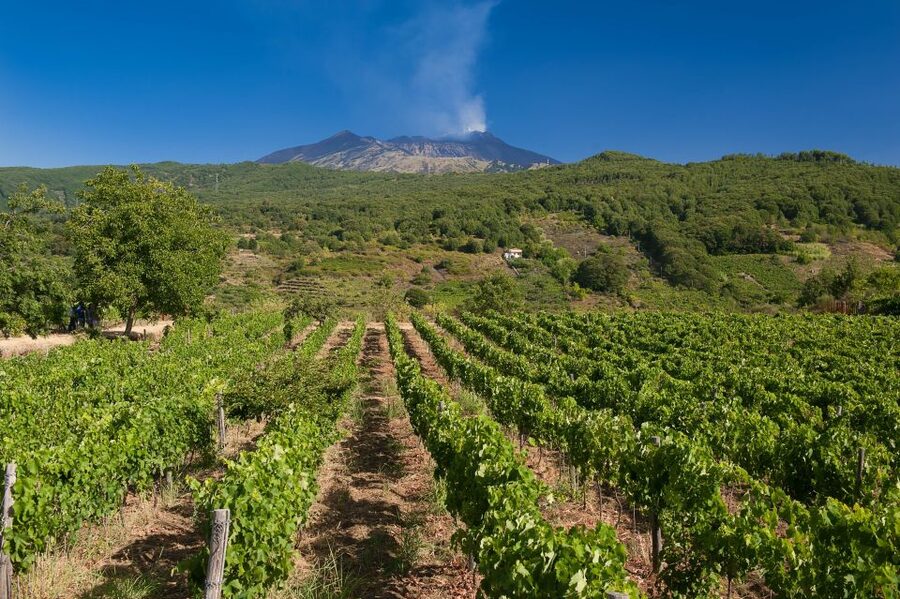 From Taormina: Private 3 Etna Wineries with Food & Wine - Third stop: views, local products, and the final tasting