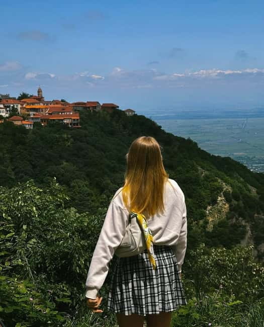 From Tbilisi: Kakheti Wine Region Tour with 9 Wine Tasting - Key points to know before booking
