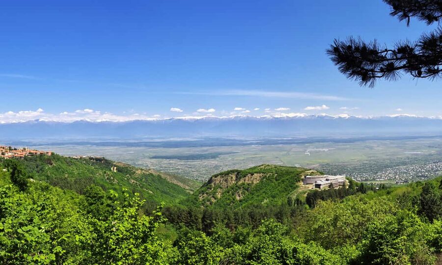 From Tbilisi: Kakheti Wine Region Tour with 9 Wine Tasting - The guides can shape the whole day