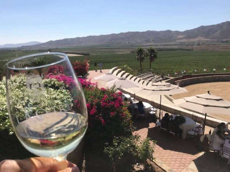 From Tijuana: Valle de Guadalupe Private Winery Tour - A full day from Tijuana to Baja wine country