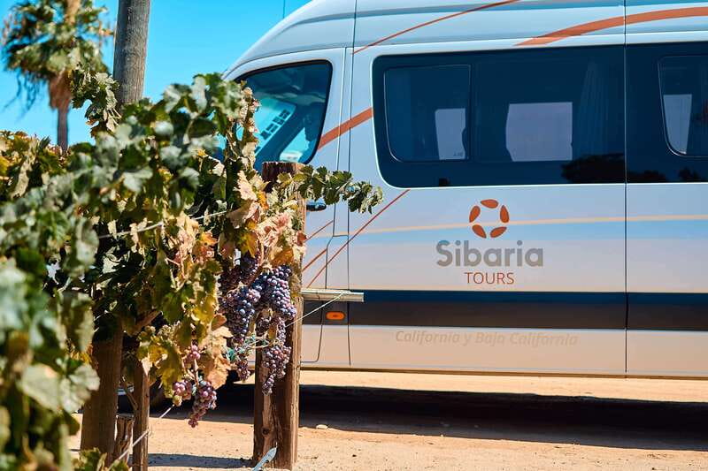 From Tijuana: Valle de Guadalupe Private Winery Tour - Should you book the Sibaria Tours day?