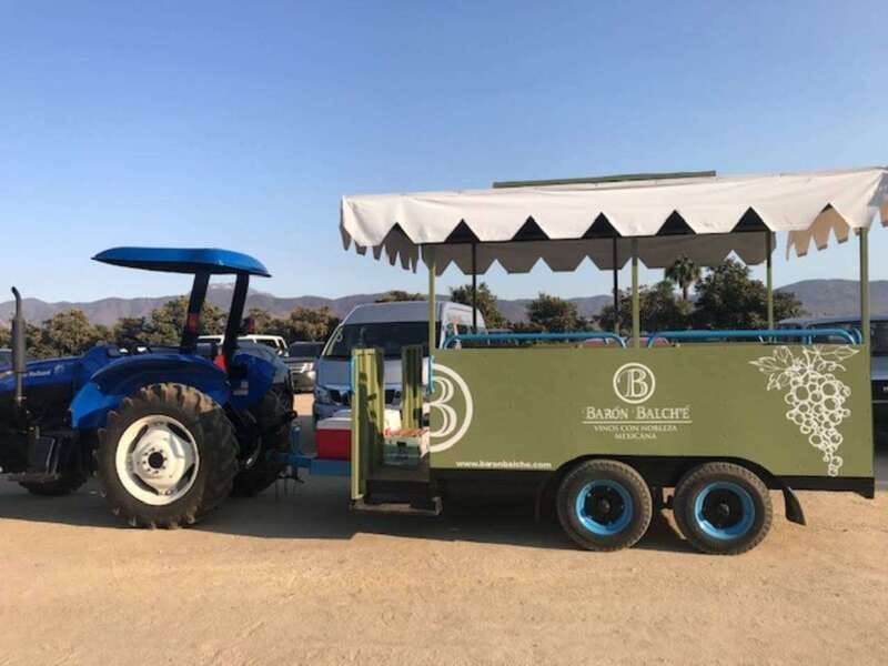 From Tijuana: Valle de Guadalupe Private Winery Tour - Choosing between two wineries