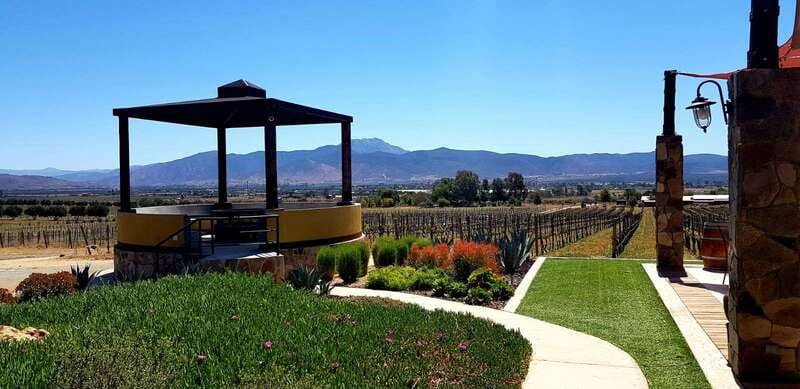 From Tijuana: Valle de Guadalupe Private Winery Tour - Lunch at four Baja Med possibilities