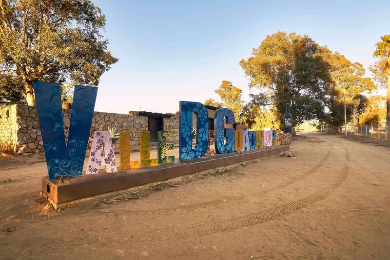 From Tijuana: Valle de Guadalupe Private Winery Tour - The drive back to Plaza Galerías