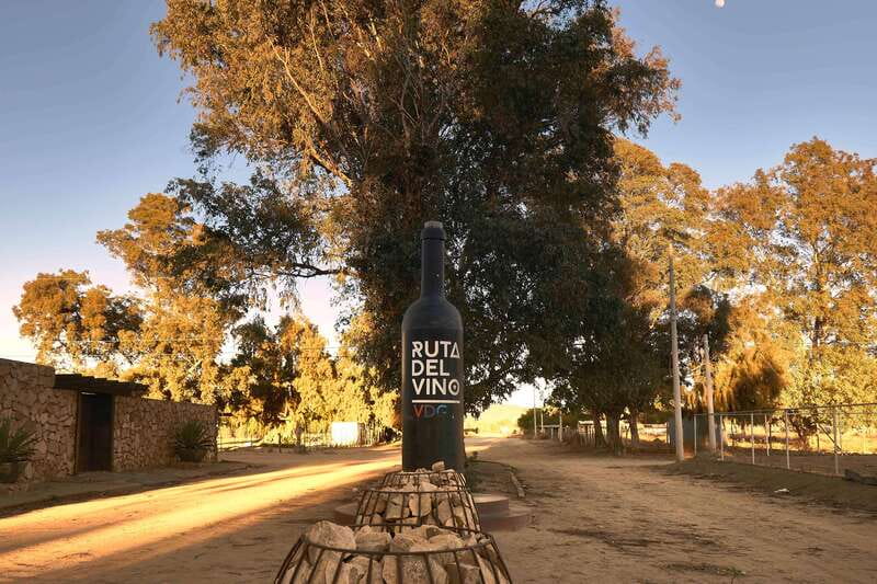 From Tijuana: Valle de Guadalupe Private Winery Tour - What to pack for the wine route
