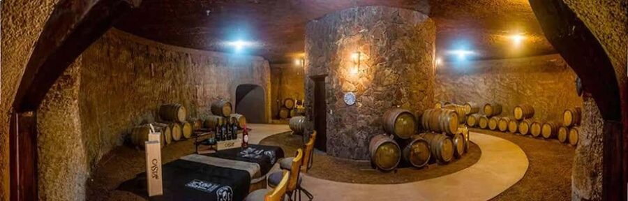 From Tijuana: Valle de Guadalupe Shared Winery Tour - Second winery: compare the mood and the pour