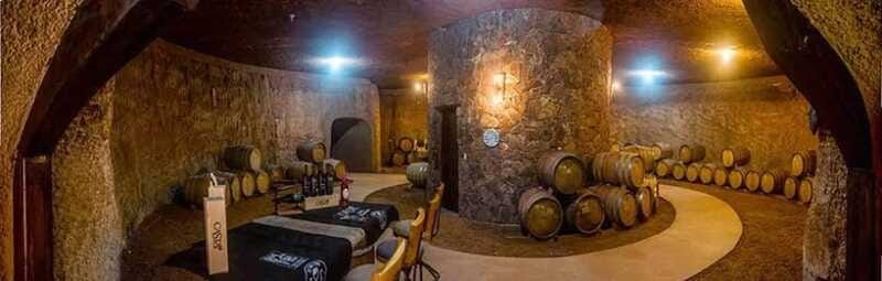 From Tijuana: Valle de Guadalupe Shared Winery Tour - Who should book this day trip?
