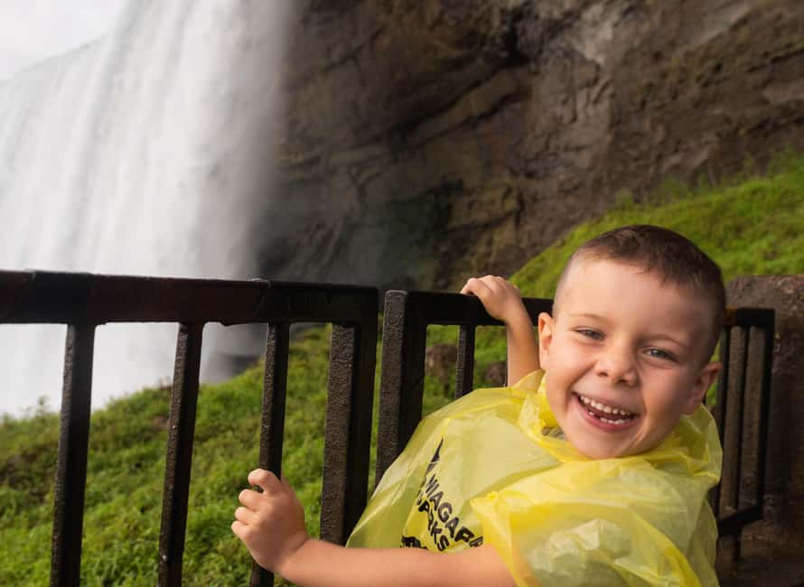 From Toronto: Niagara Falls Full-Day Bus Tour & Winery Stop - The Whirlpool and other scenic stops