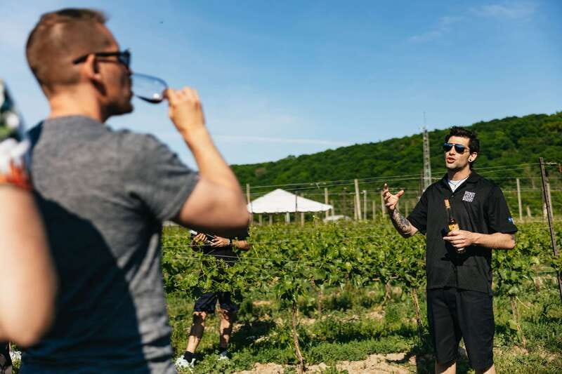 From Toronto: Niagara Falls + Winery, Cruise, & Lunch Option - Practical tips before you go