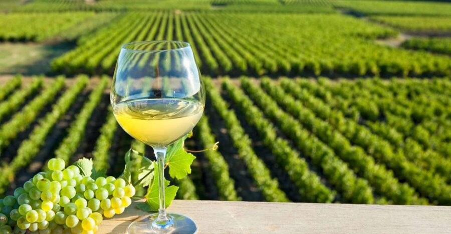 From Tours: Loire Valley Wineries Day Trip with Tastings - Value, food, and practical planning