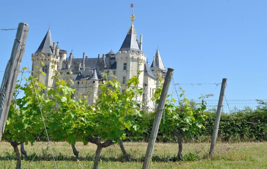 From Tours: Loire Valley Wineries Day Trip with Tastings - Why this Loire wine day works well from Tours