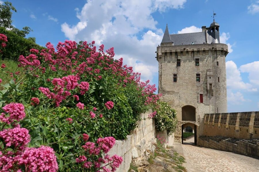 From Tours: Loire Valley Wineries Day Trip with Tastings - Chinon, with two hours for food and wandering