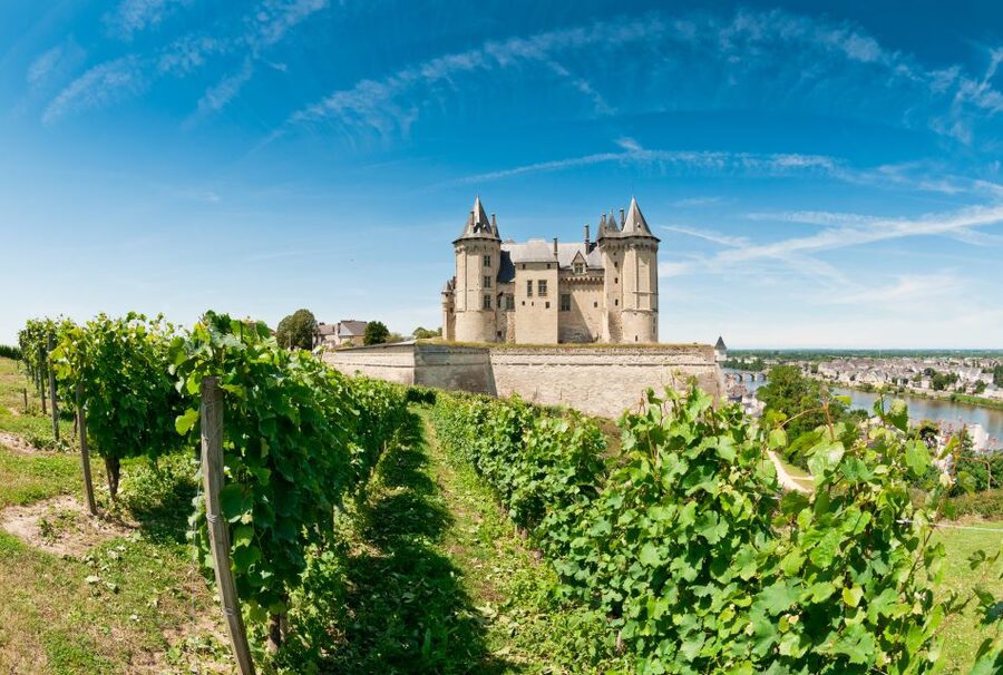 From Tours: Loire Valley Wineries Day Trip with Tastings - The second winery in Bourgueil