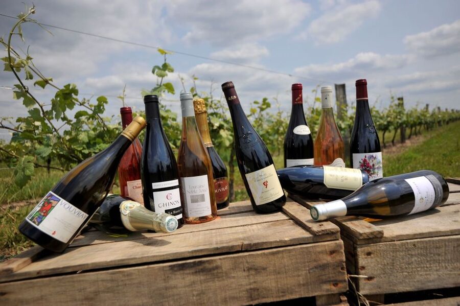 From Tours: Loire Valley Wineries Day Trip with Tastings - Who should book this tour