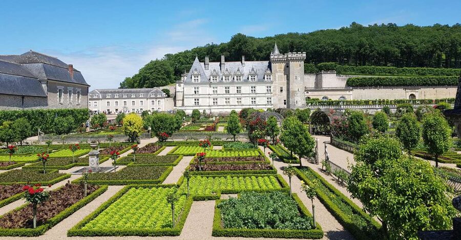 From Tours: Villandry, Azay-le-Rideau & Local Wineries - Should you book this Loire Valley tour?