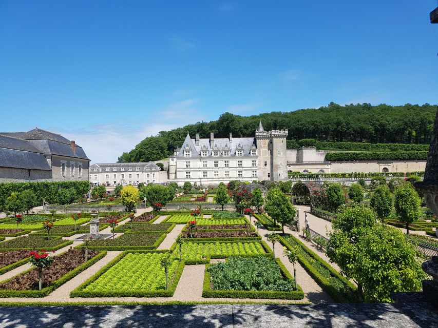 From Tours: Villandry, Azay-le-Rideau & Local Wineries - Villandry’s gardens require time on foot