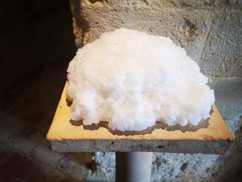 From Trapani: Salt Road Tour With Winery Visit and Boat Trip - FAQ