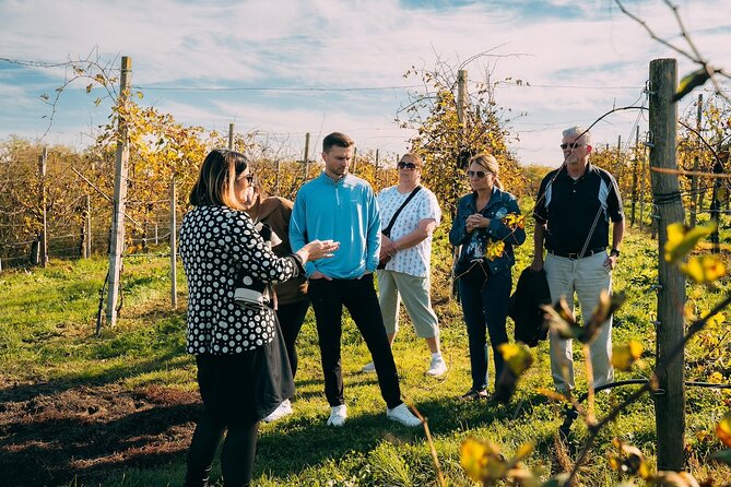 From Venice: Prosecco Wine Region Tour with 2 Tastings - Valdobbiadene and the second tasting