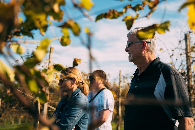 From Venice: Prosecco Wine Region Tour with 2 Tastings - What the six tastings mean for the price
