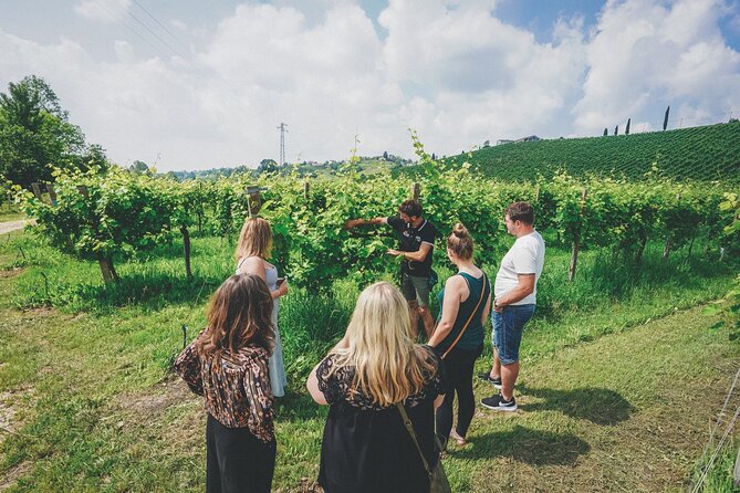 From Venice: Prosecco Wine Region Tour with 2 Tastings - The 15-minute stop at Vecchio Mulino della Croda