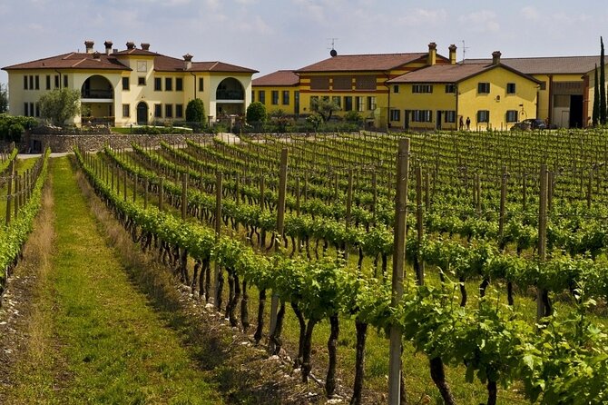 From Verona: private trip to Sirmione Lake Garda & Valpolicella Wine Region - Punta San Vigilio and the cost of lunch