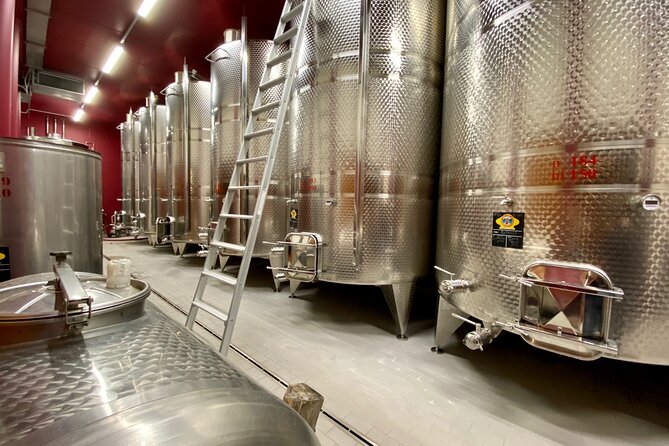From Verona: private trip to Sirmione Lake Garda & Valpolicella Wine Region - Amarone and the private tasting