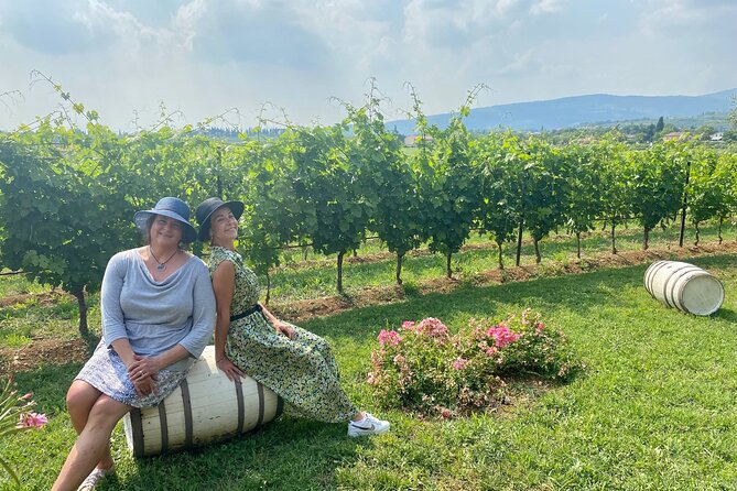 From Verona: private trip to Sirmione Lake Garda & Valpolicella Wine Region - What the $341.49 price really covers