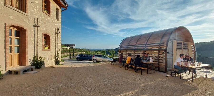 From Verona: Valpolicella Winery Tour with Amarone Vintages - Choosing between three and six wines