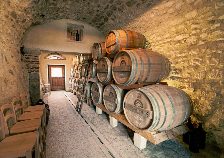 From Verona: Valpolicella Winery Tour with Amarone Vintages - How much value do you get for $46?
