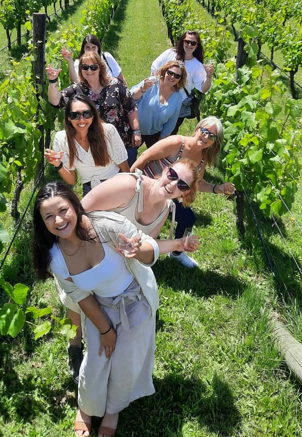 From Wellington: Martinborough Winery Tour - The Remutaka Summit at 555 metres