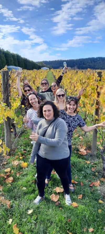From Wellington: Martinborough Winery Tour