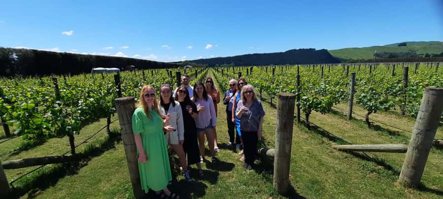 From Wellington: Martinborough Winery Tour - Te Kairanga and the 140-year-old cottage
