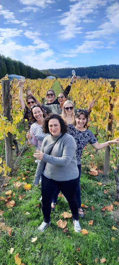 From Wellington: Martinborough Winery Tour - Wellington pickup and the ride south