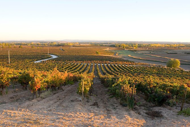 Full day at the winery, visit, tasting, aperitif and lunch - What $74.52 buys you