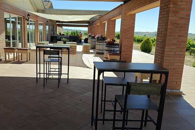 Full day at the winery, visit, tasting, aperitif and lunch - Timing, group size, and practical planning
