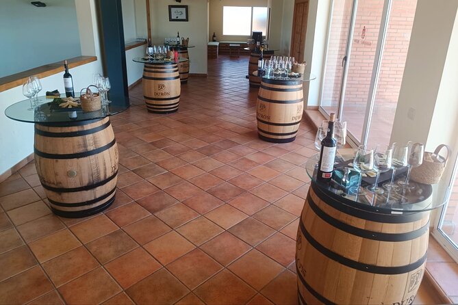 Full day at the winery, visit, tasting, aperitif and lunch - Who will enjoy this experience most