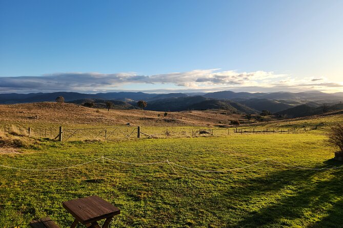 Full-Day Canberra Brewery, Wineries & Distillery tour /w lunch - Ambrosia Distillery brings the sharpest change of pace