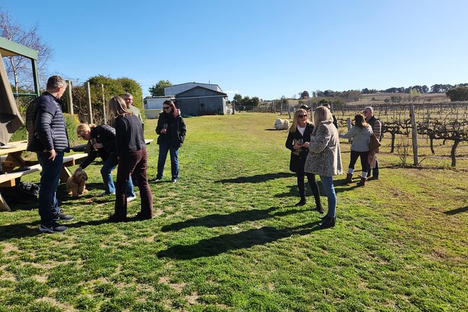 Full-Day Canberra Brewery, Wineries & Distillery tour /w lunch - BentSpoke Brewing Co. finishes with Canberra beer