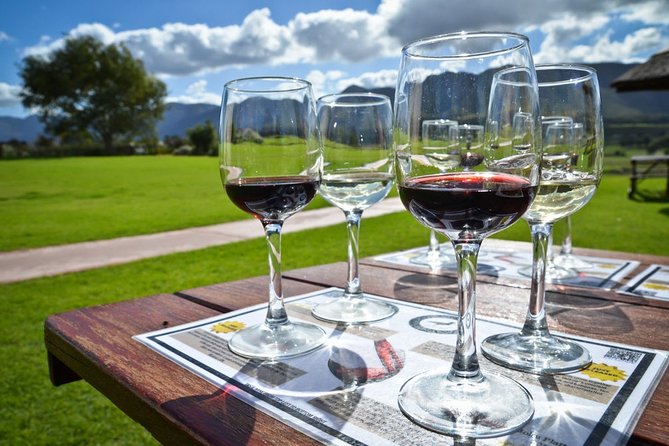 Full day Cape Winelands ( Stellenbosch and Franschoek ) - DeMorgenzon sets the tone with Chenin Blanc