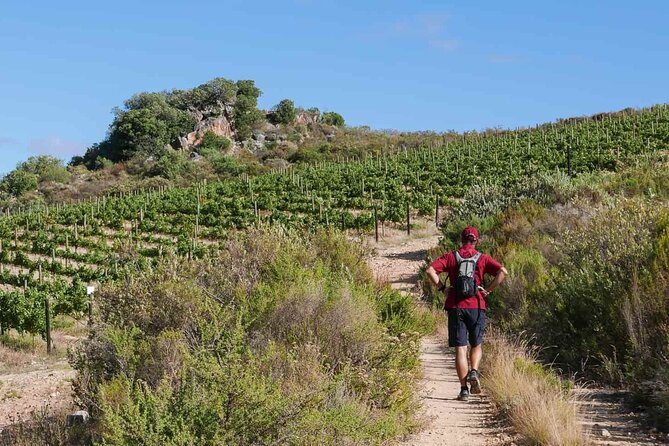 Full-Day Cape Winelands Tour - Why this Cape Winelands route works